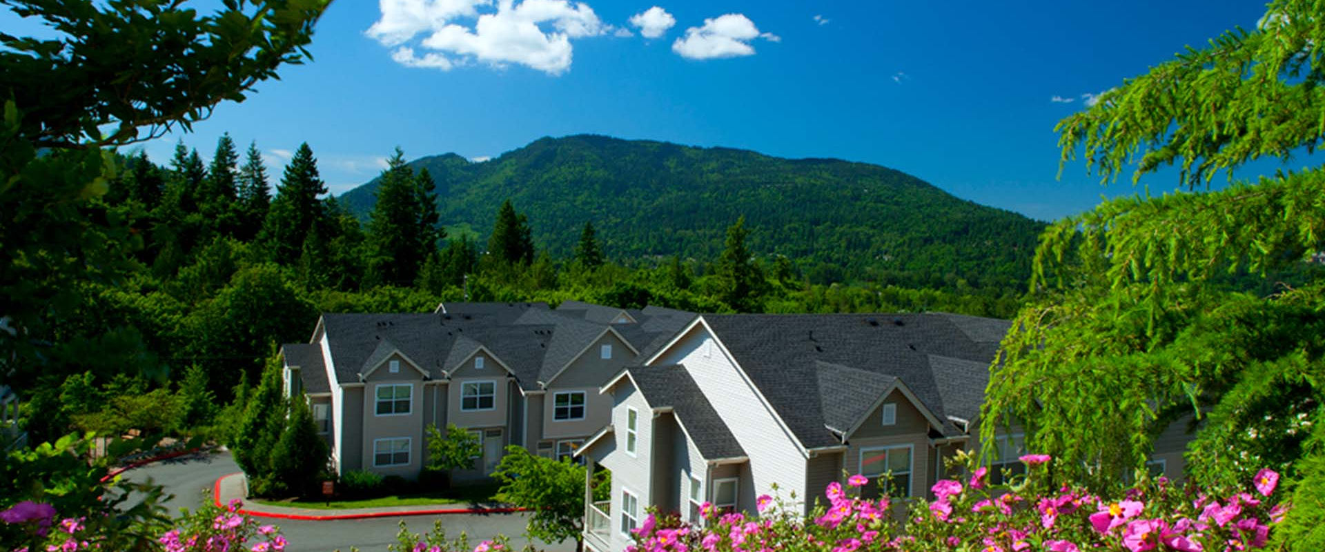 The Timbers at Issaquah Ridge Apartments in Issaquah - Views