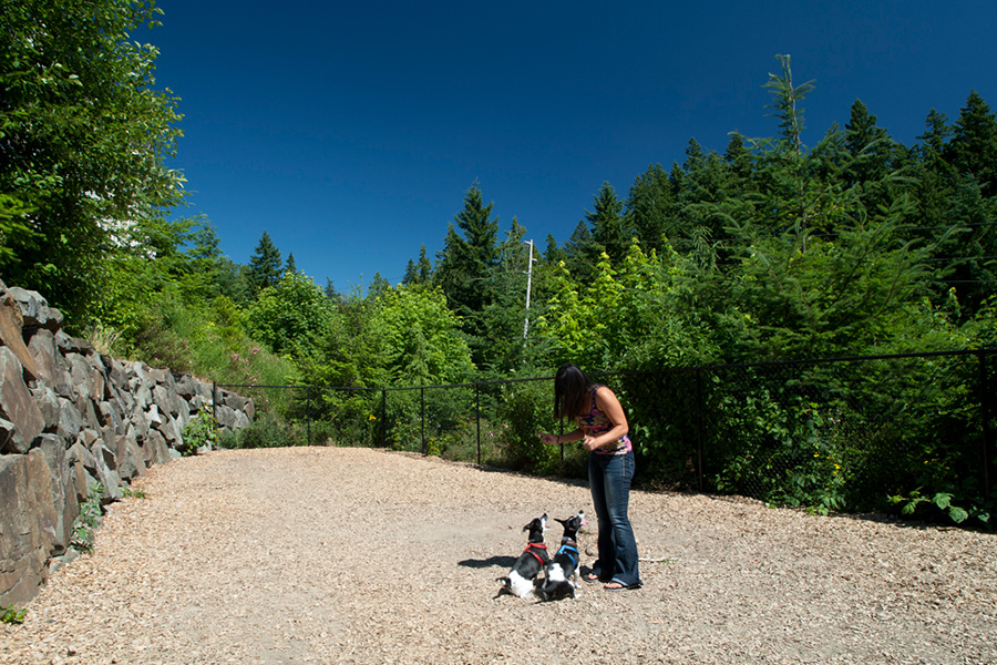 Issaquah Apartments in WA The Timbers at Issaquah Ridge Apartments