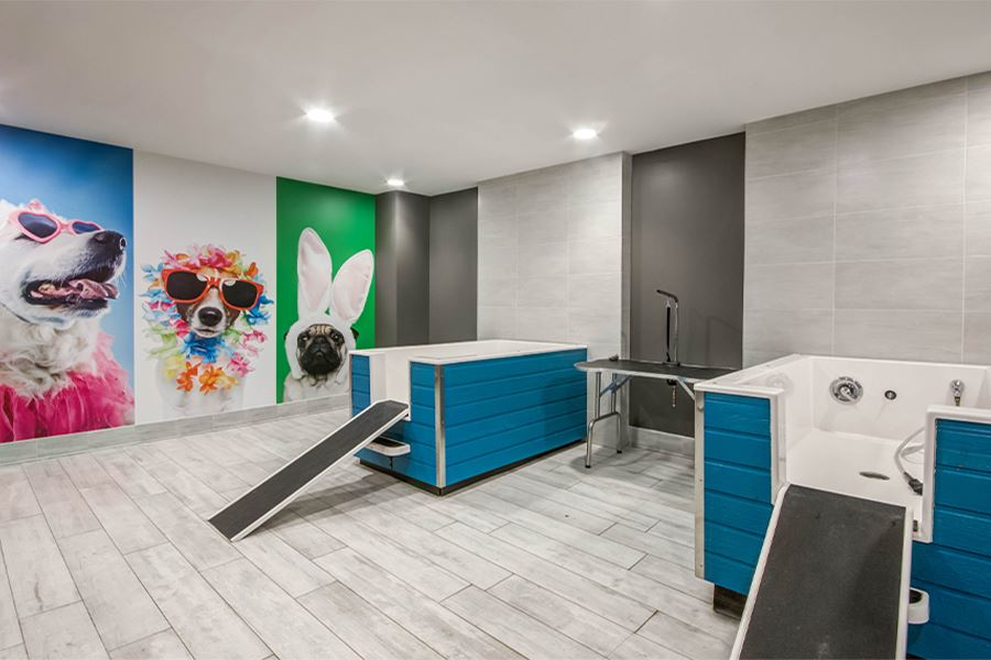 Apartments for Rent in Rockville, MD Mallory Square