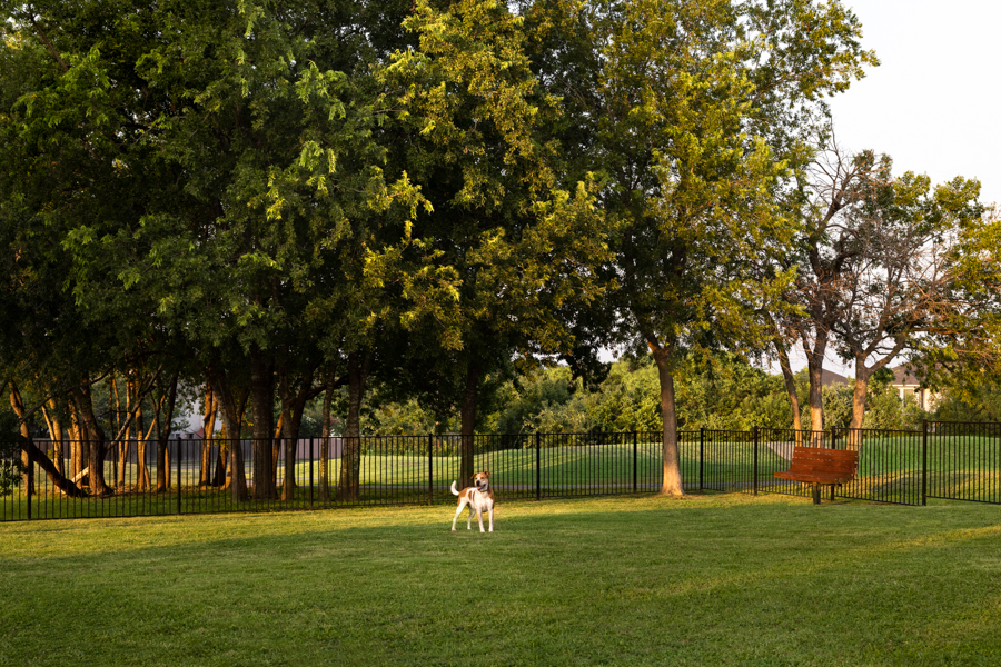 Settler's Ridge Apartments for Rent North Austin, TX