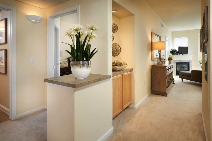 Apartments For Rent In Thornton, CO Madison Park