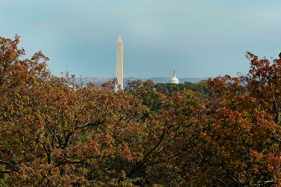 Zoso Flats Apartments in Arlington - DC Views