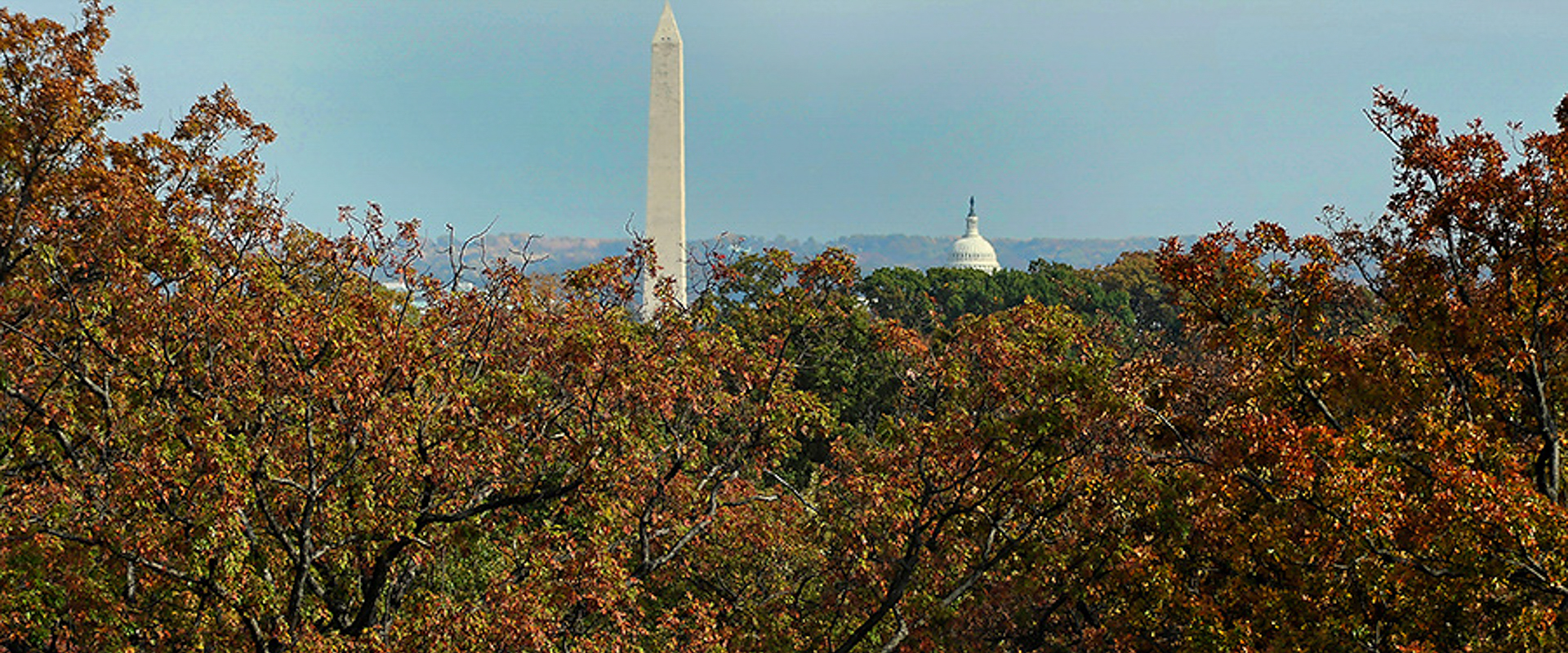 Zoso Flats Apartments in Arlington - DC Views