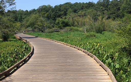 Artisan Station Apartments - Suwanee, GA - Suwanee Creek Greenway Trail