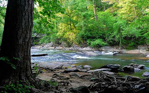 Artisan Station Apartments - Suwanee, GA - Near the Chattahoochee River