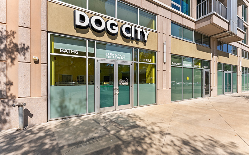 Dallas Apartments with Retail - SkyHouse Dallas - Dog City