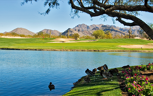 Apartments for Rent in North Scottsdale - San Carlos