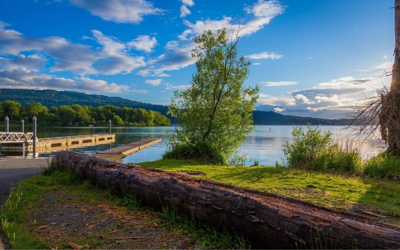 Issaquah Highlands Apartments | The Timbers at Issaquah Ridge | Neighborhood