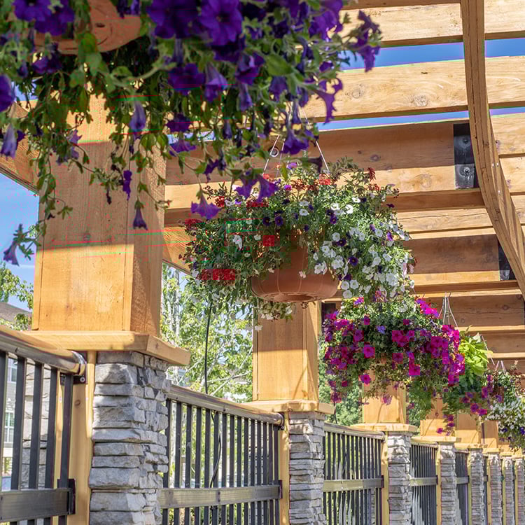Hillsboro, OR Apartments for Rent - Quatama Crossing - landscaping and flower pots