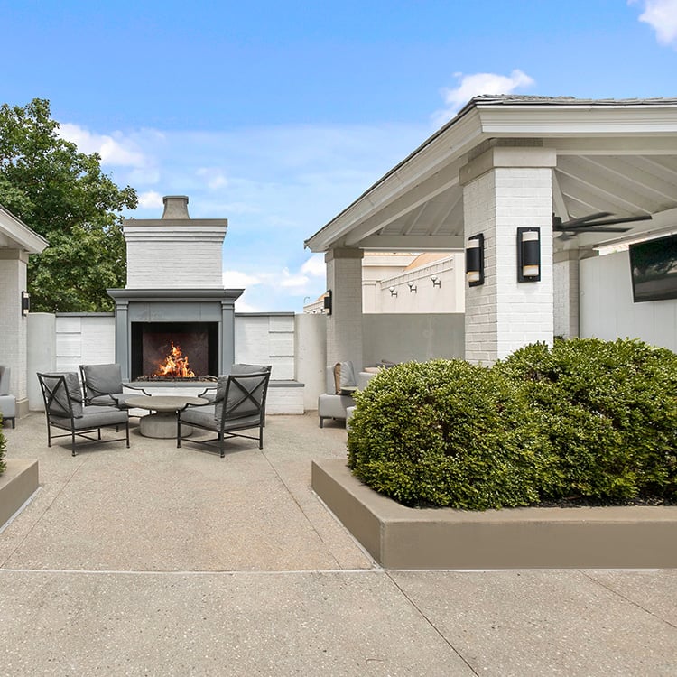 Pet Friendly Apartments in Atlanta - The Residence Buckhead Atlanta - Online Reviews