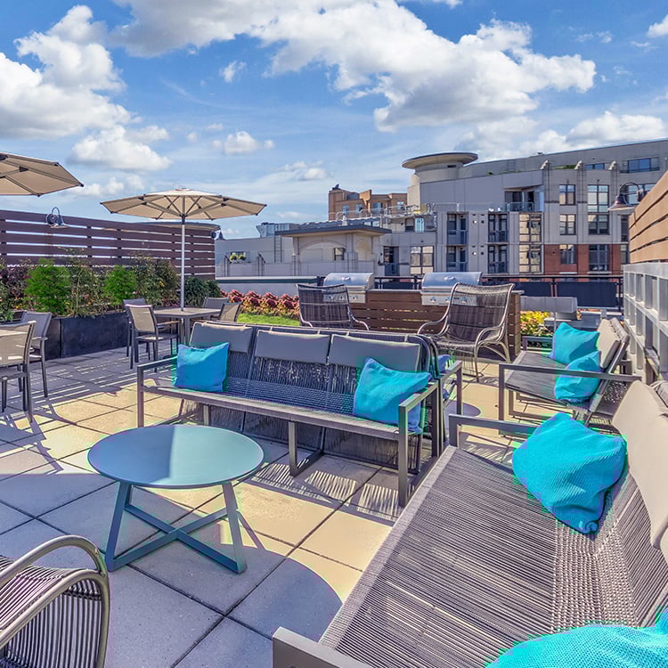 Pet Friendly Apartments in Arlington, VA - Zoso Flats - Online Reviews