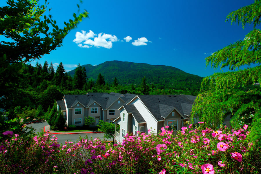 The Timbers at Issaquah Ridge Apartments - Issaquah, WA