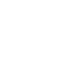 Electric Vehicle Charging Icon