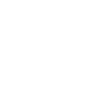 Electric Vehicle Charging Icon