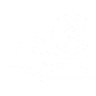 Income Icon