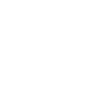 Income Verification Icon