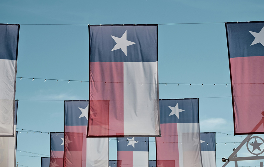 Simpson Housing Apartments for Rent in Dallas - Texas Flags